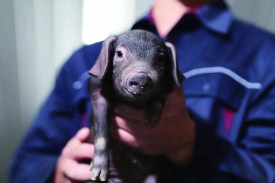 专访网易创始人丁磊：互联网品味家