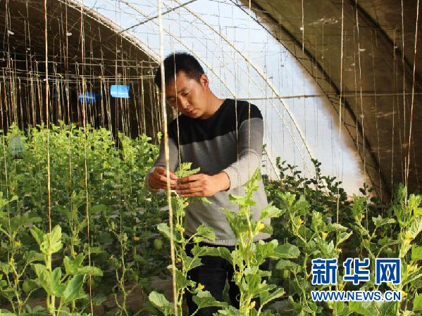 大学生村官赵晓菲：工作四年 成为众口称赞的自家人