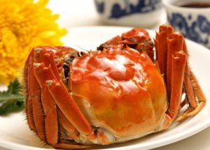 今年阳澄湖大闸蟹个头变大