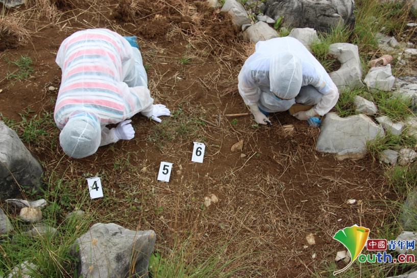 大山女法医赵晶晶：与“尸体”一起为每位受害者伸张正义