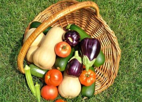 农业品牌建设促进广东现代农业发展