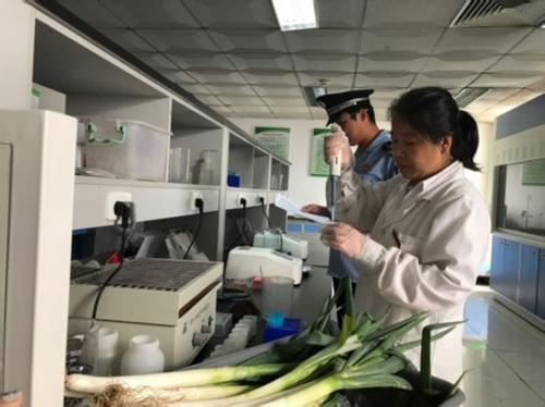 北京市批发市场大葱&ldquo;批批检&rdquo; 不合格禁入市
