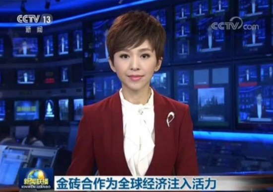 白岩松康辉撒贝宁欧阳夏丹 揭秘央视主播成功秘诀