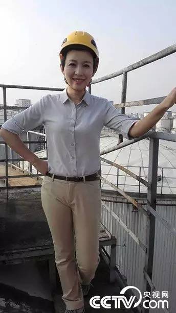 白岩松康辉撒贝宁欧阳夏丹 揭秘央视主播成功秘诀