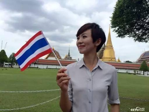 白岩松康辉撒贝宁欧阳夏丹 揭秘央视主播成功秘诀