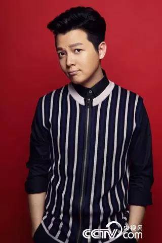 白岩松康辉撒贝宁欧阳夏丹 揭秘央视主播成功秘诀