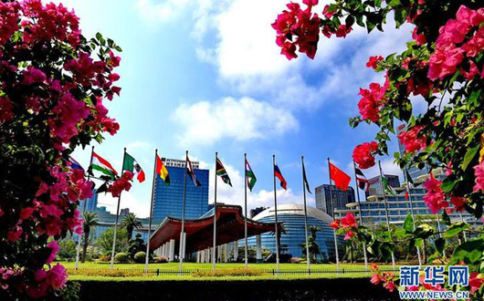 金砖合作开启新十年 中国之光照耀新征程