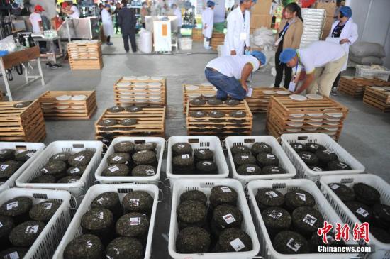 “普洱茶致癌说”再起 云南茶界：将以法律方式维权