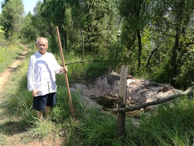 88岁老人20年坚持修路栽树：让孩子上学的路好走点