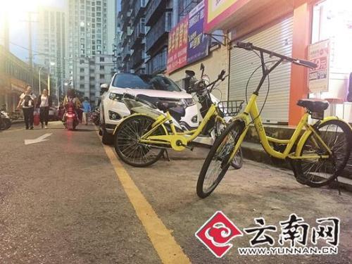 多家物管禁止共享单车进小区 居民们有话说