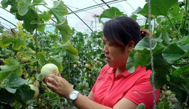 她在村官这个小舞台上干出了大事