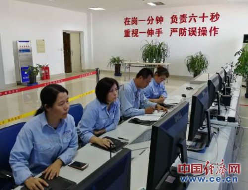 华鲁恒升孙一倩：&ldquo;工匠精神&rdquo;让企业提质增效落到实处