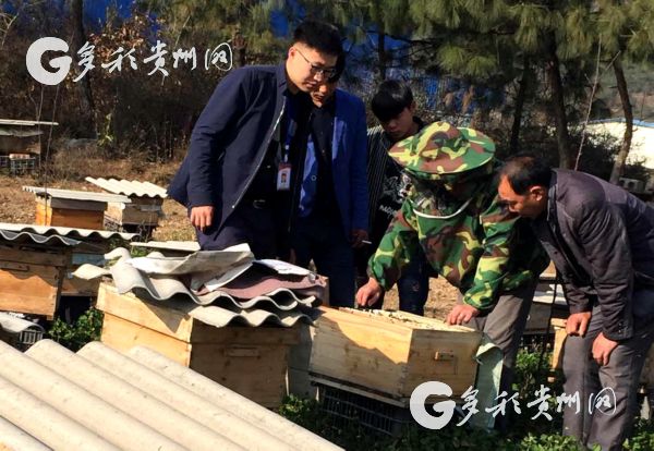 24岁"娃娃支书":带领村民脱贫致富是我干过最酷的事