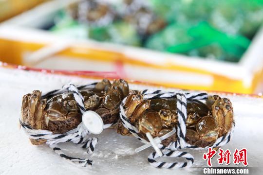 国庆中秋运输带旺生鲜物流 大闸蟹成空运主角之一
