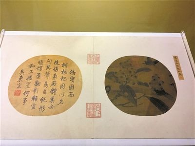 宋徽宗《枇杷山鸟图》团扇面首度公开面世