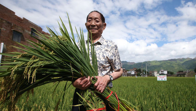 87岁袁隆平再创奇迹!他还带来两个好消息…