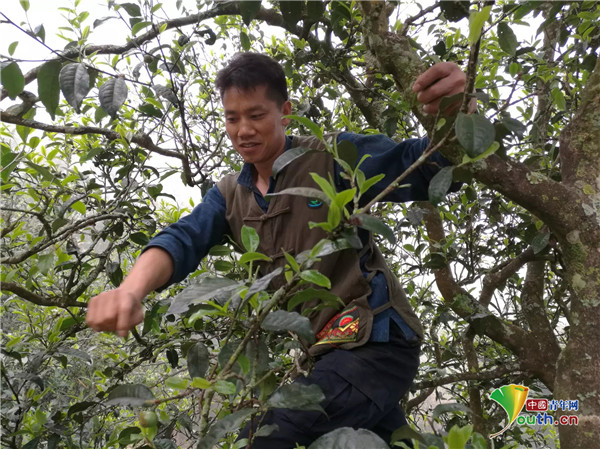 禁毒队长李浏华 “火眼金睛”的公安楷模