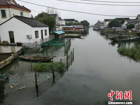 “蟹壳里做道场”的新生代阳澄湖蟹农