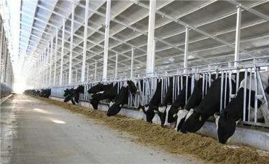 获批婴幼儿奶粉配方达390个 双娃乳业成为黑马