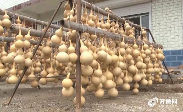 一个葫芦3000元 聊城这个&ldquo;葫芦第一村&rdquo;