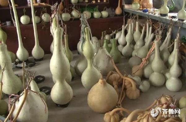 一个葫芦3000元 聊城这个“葫芦第一村”地里结出金疙瘩