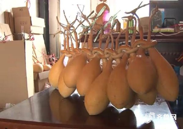 一个葫芦3000元 聊城这个“葫芦第一村”地里结出金疙瘩