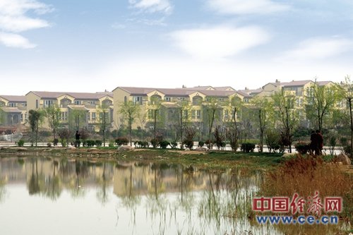 中鹤集团的农业产业化之路:农业有效益、农民有事干、农村有生机