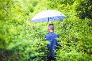 八旬巡山老人义守山林21载 没有工资仍乐此不疲