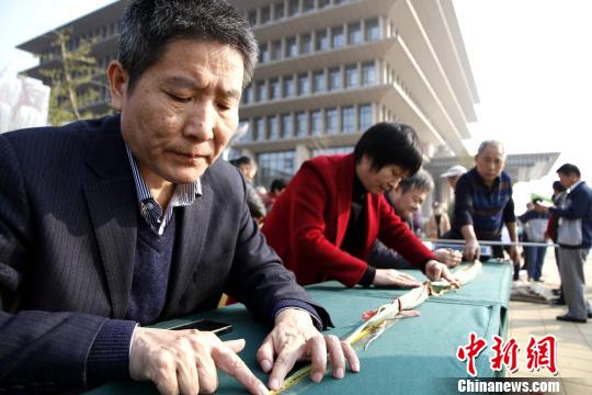 山东章丘2.51米&ldquo;最高大葱&rdquo;刷新历届高度记录