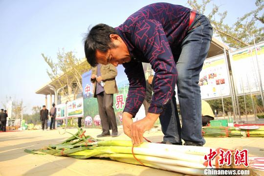 山东章丘2.51米“最高大葱”刷新历届高度记录