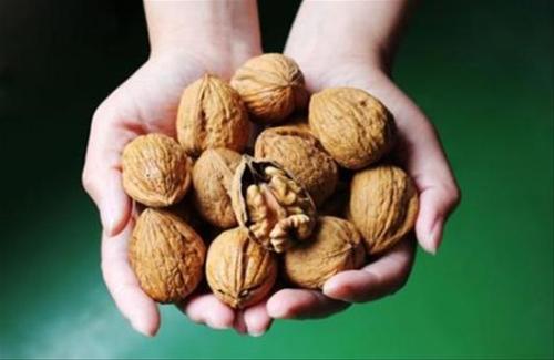 新零售来了，坚果电商何去何从