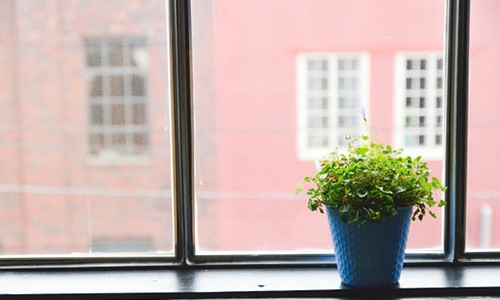 经营者：我开民宿这一年