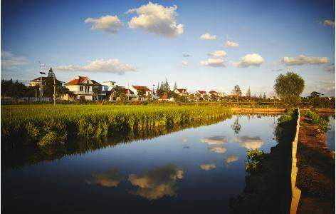 上海&ldquo;桃花源&rdquo;炼成记 