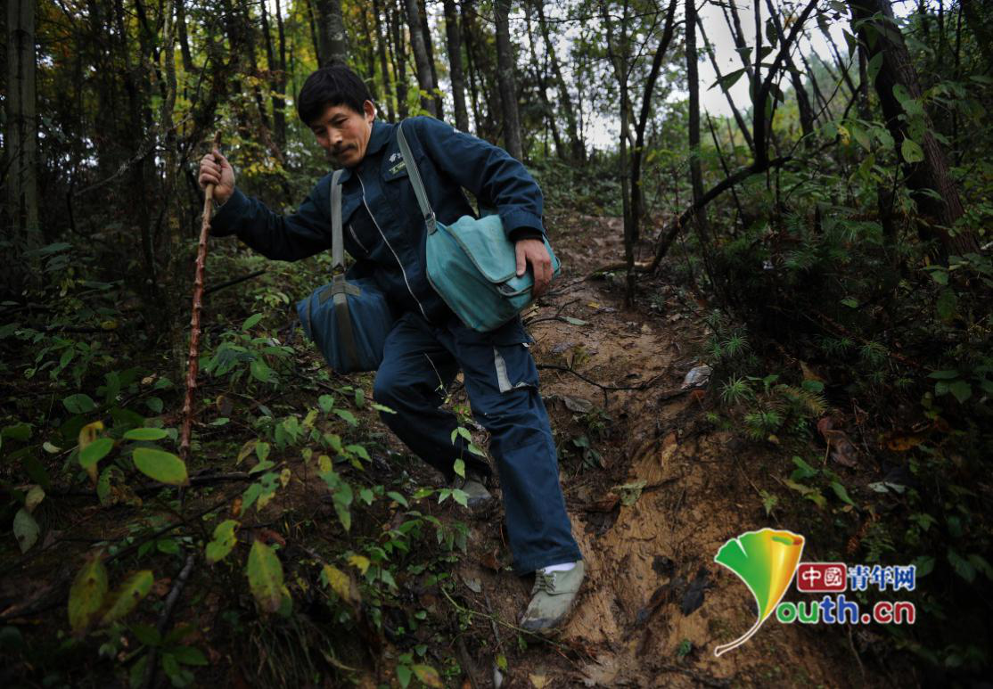 张美冲：山崖邮路冲锋人　20余载奉献坚守