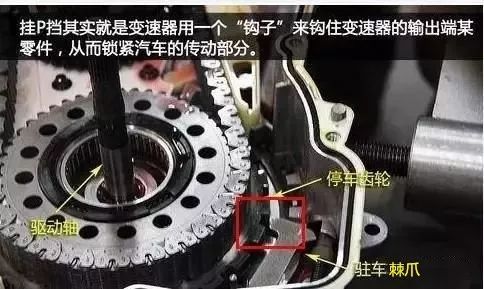 车主必看!等红灯时的这个动作,可能让你损失好几万