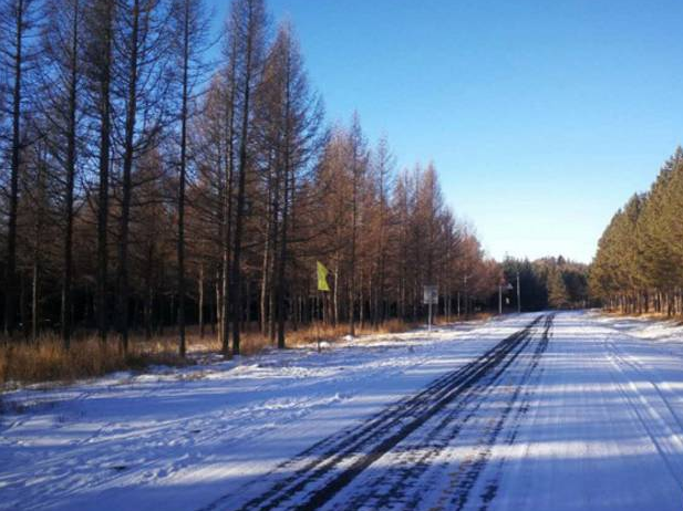 祝贺塞罕坝！联合国最高环境荣誉奖项首次花落河北