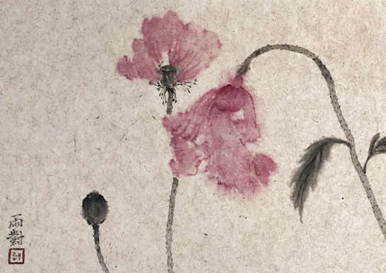 韩雨对花卉作品欣赏