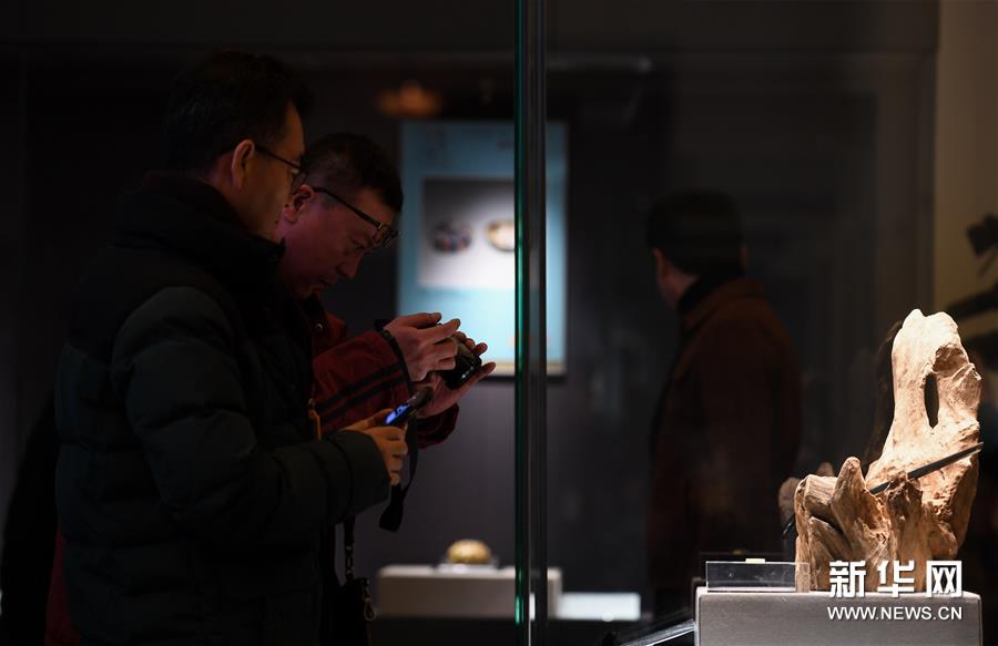 近百件唐代文物展现古丝绸之路文明交融