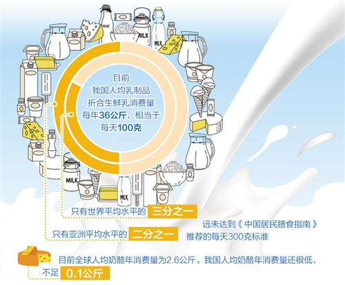 引导奶酪消费 促进乳业升级