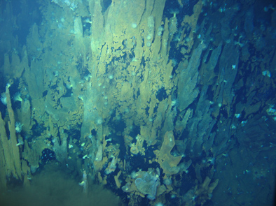 神奇·神器·神匠