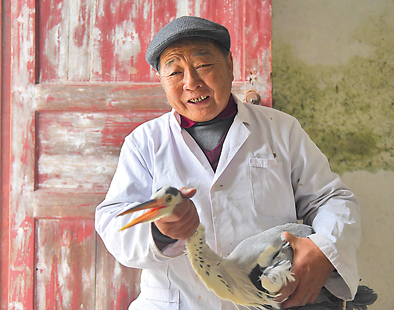 34载,“候鸟医生”和他守候的“候鸟天堂”