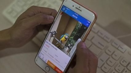 淘宝店主注意啦，这些&ldquo;客服&rdquo;专门以