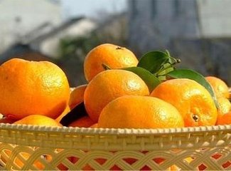 湖北将重点培育10个农产品区域公用品牌