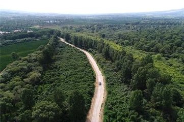 三家中国企业跻身全球智能手机厂商五强