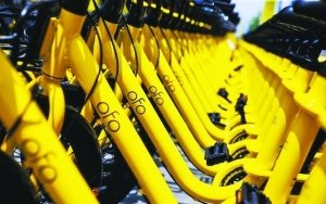 质押单车 ofo借款补血