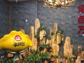 金百万的转型大冒险