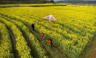 １８日&ldquo;龙抬头&rdquo;：预示一年农事始 