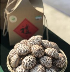 一根小菌棒&ldquo;种&rdquo;出致富路