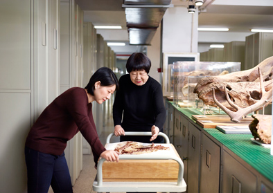 摘取&ldquo;世界杰出女科学家奖&rdquo;的&ldquo;傻瓜&rdquo;