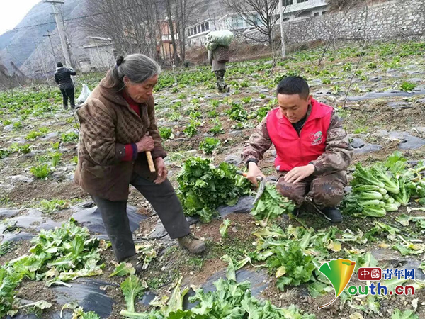 志愿者安文忠：青石缝里抓脱贫　林下地里创新路